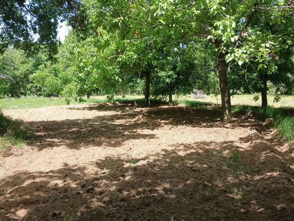 قطعه زمین کشاورزی ۲۰۰۰متر