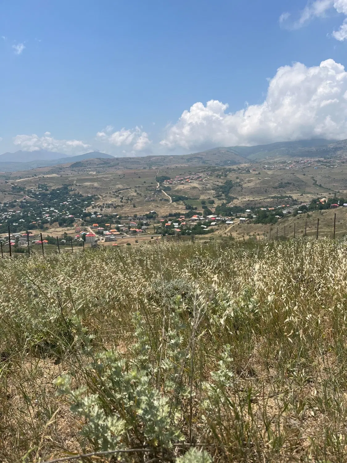 زمین ۱۰۰۰ متری دیلمان