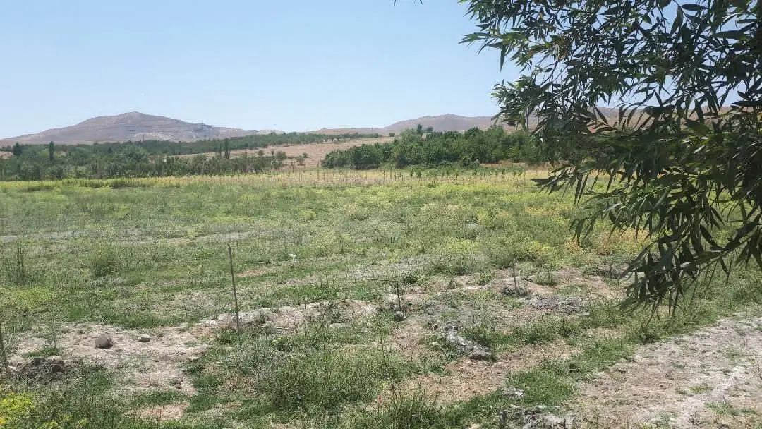 زمین بی نظیر