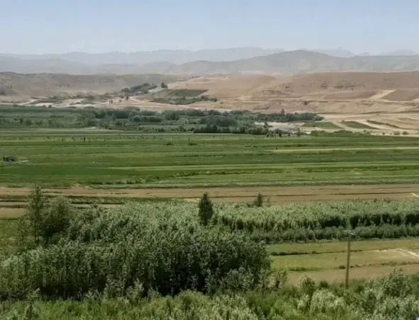 زمین کشاورزی پلاک دوم جاده اصلی بردشاه فریدونشهر