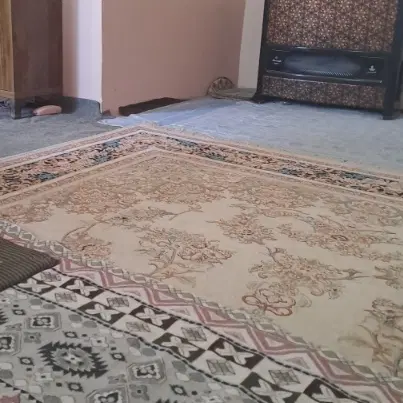 همخانه خانم