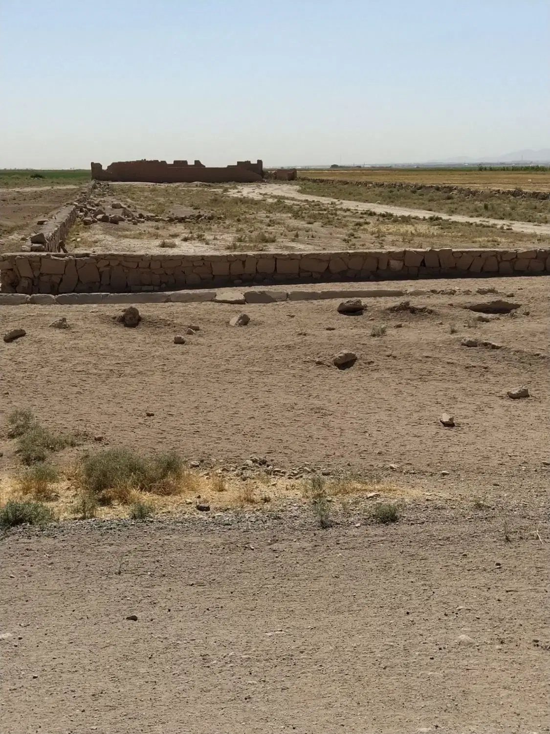 فروش زمین هکتاری دامداری یا گلخانه