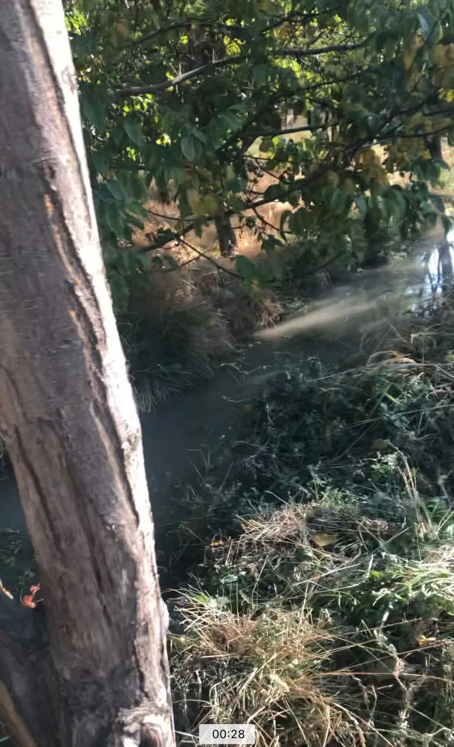 فروش باغچه