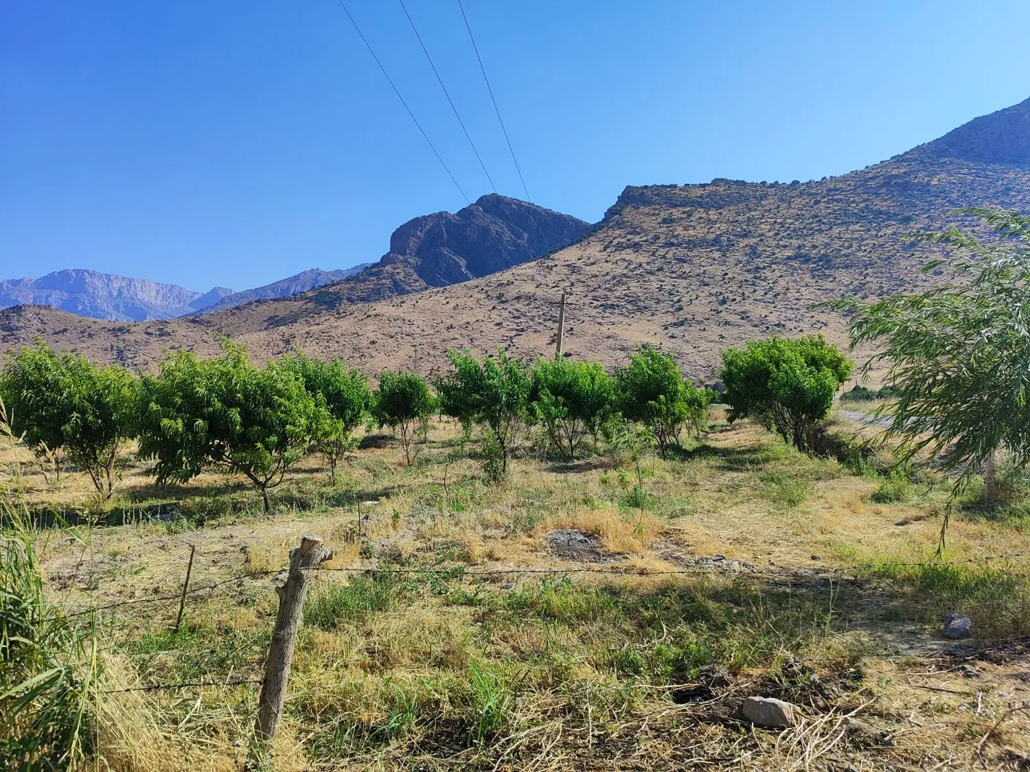 فروش باغ تفریحی