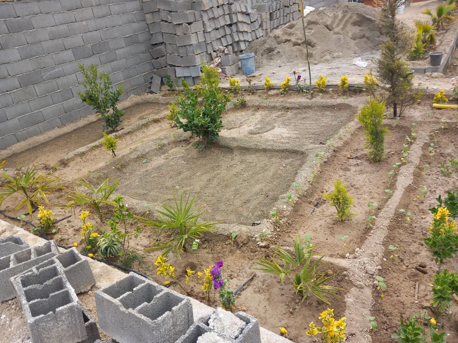 باغ