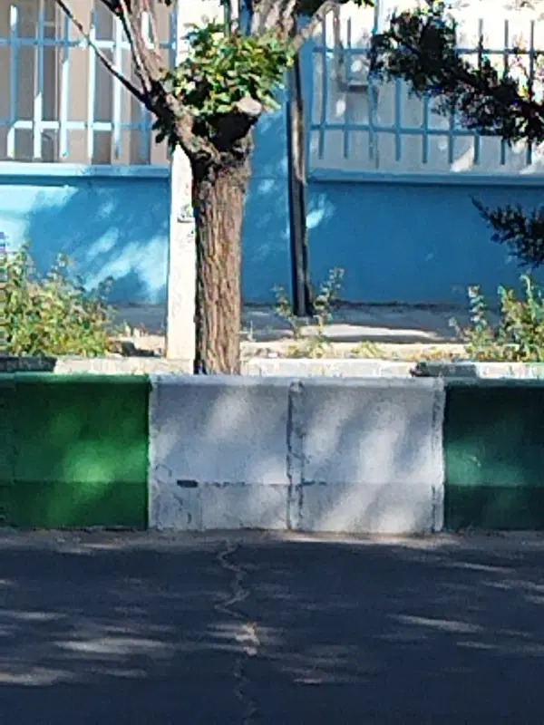 فروش زمین