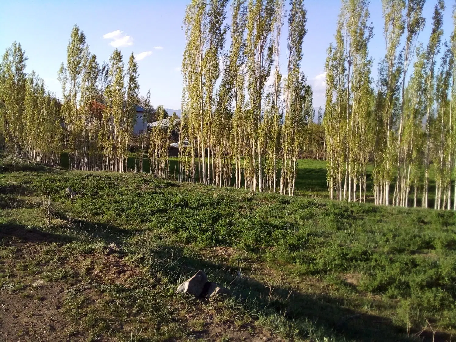 زمین مسکونی۲۰۰مترروستای گورانسراب