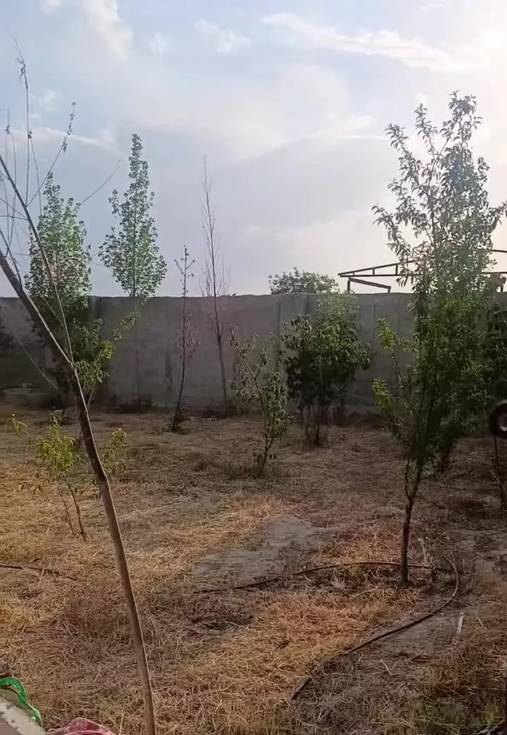۵۰۰م زمین با بر ۲۴متر سند تک برگ_ تهراندشت