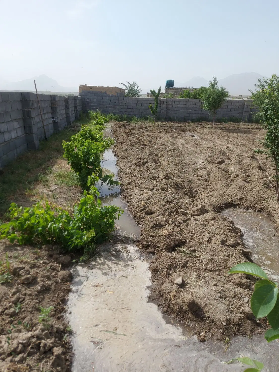 باغ ۱۰۰۰ متری