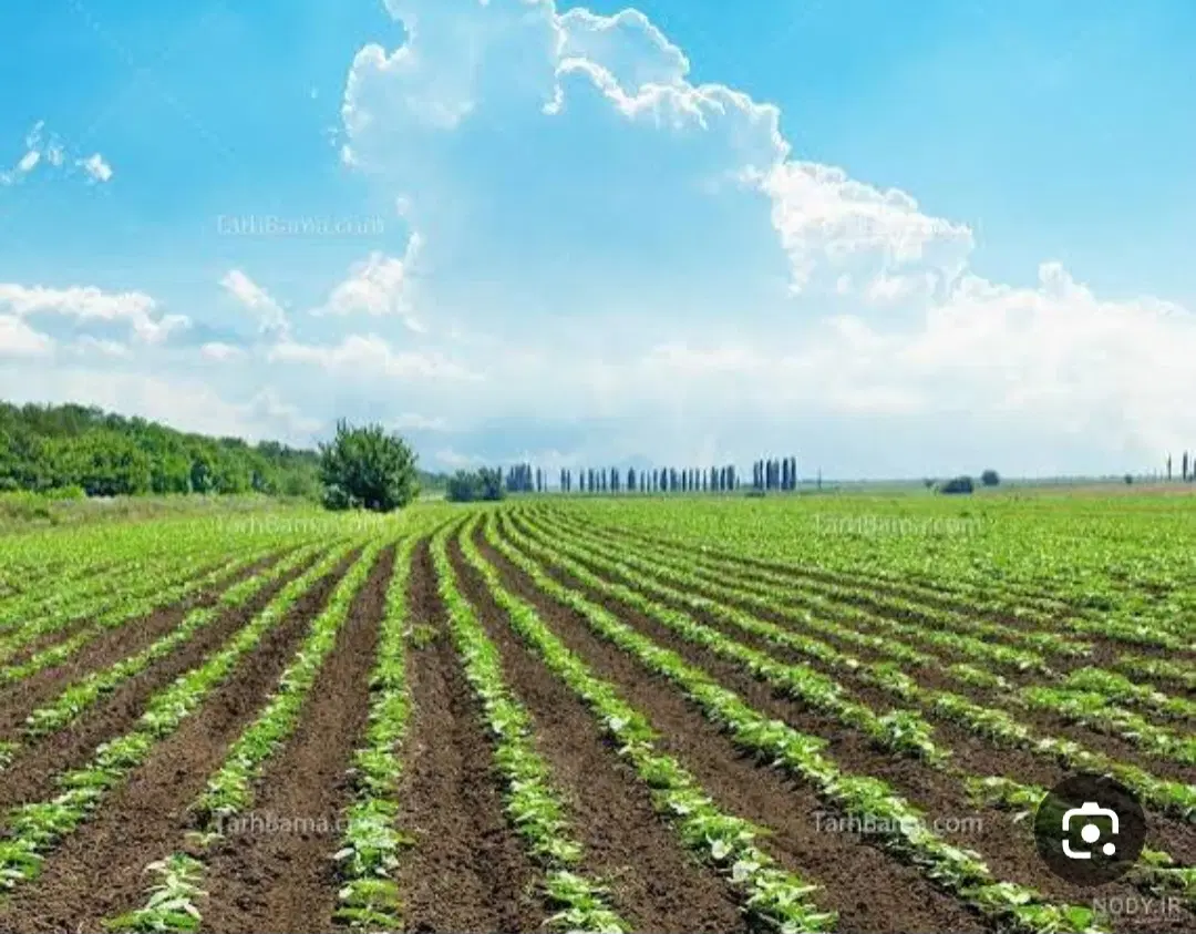زمین کشاورزی