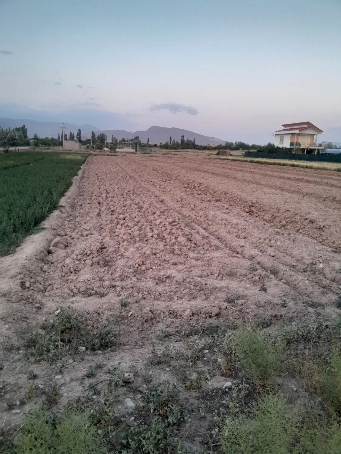 زمین برجاده