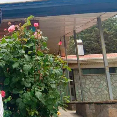 اجاره