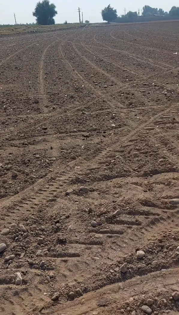 اجاره ۱۰ هکتار زمین
