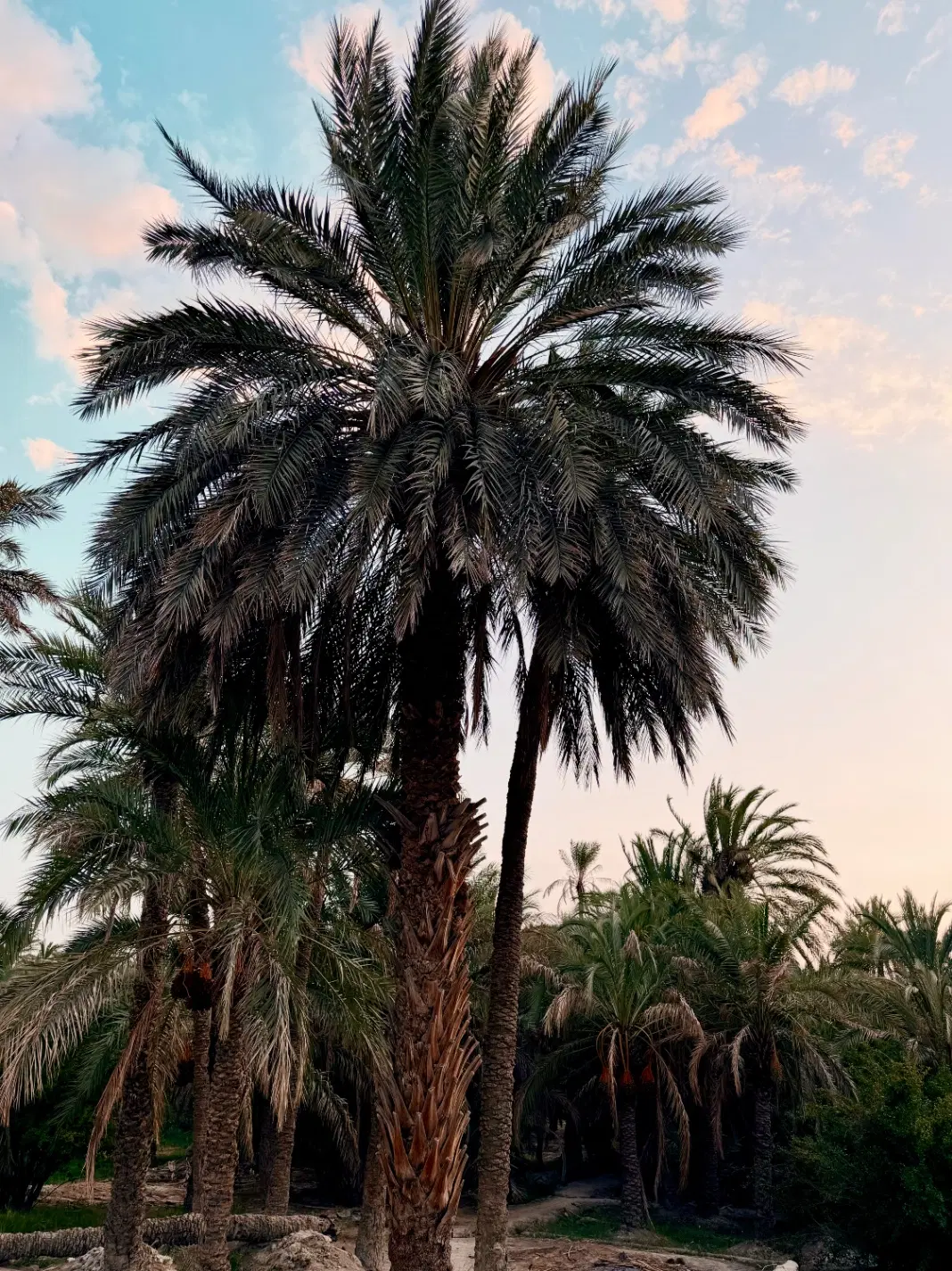 فروش زمین مسکن ملی دو نفره