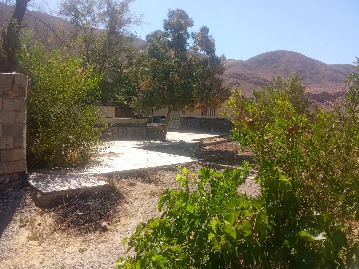 خونه باغ