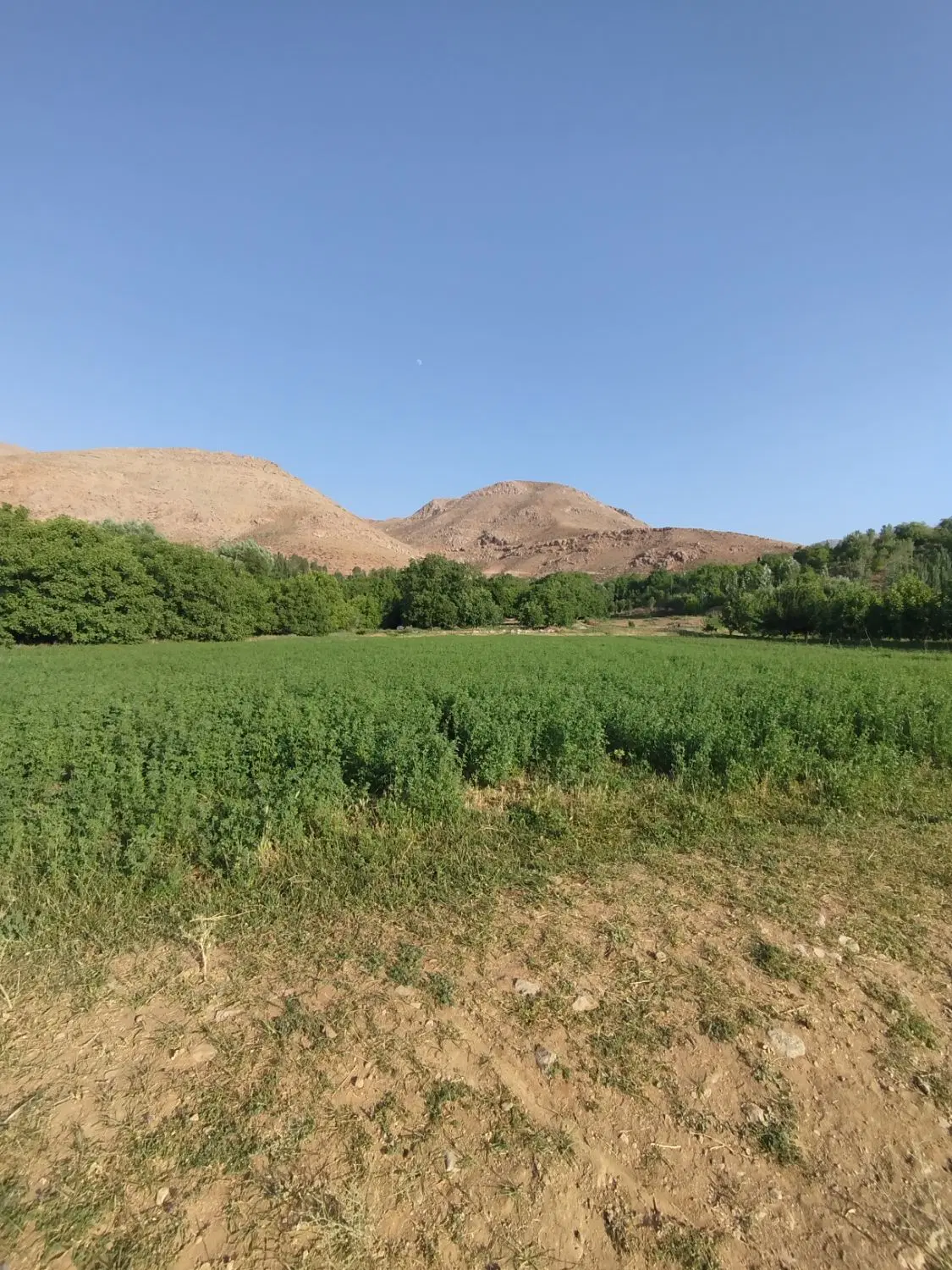 ۳۰۰متر زمین نوترگی