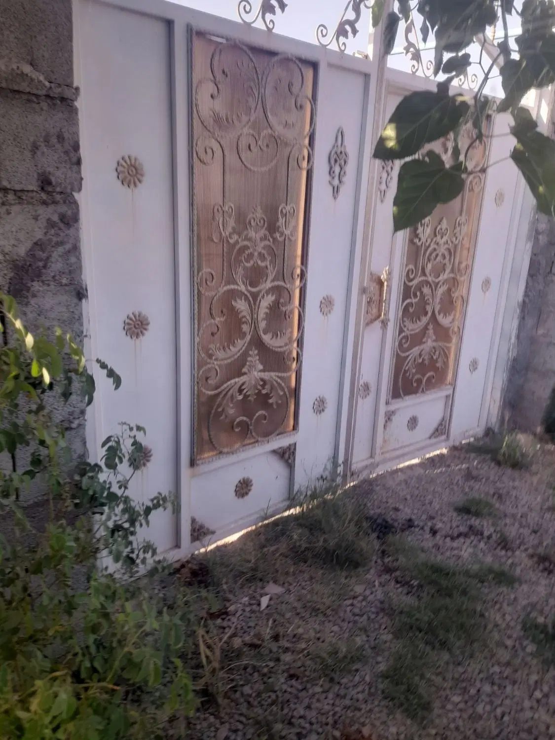 باغ انگور جاده سلماس