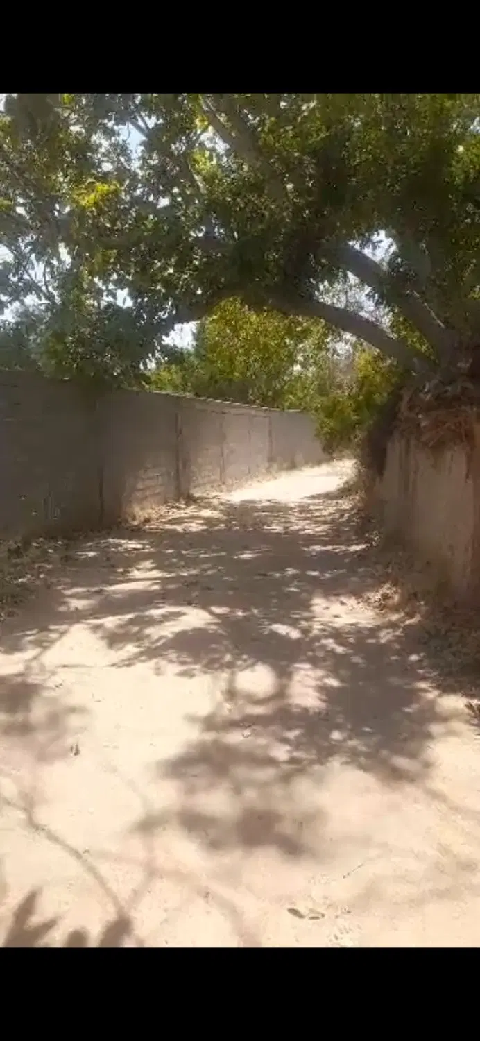 فروش باغ ۵۰۰ تا ۱۰۰۰ متری