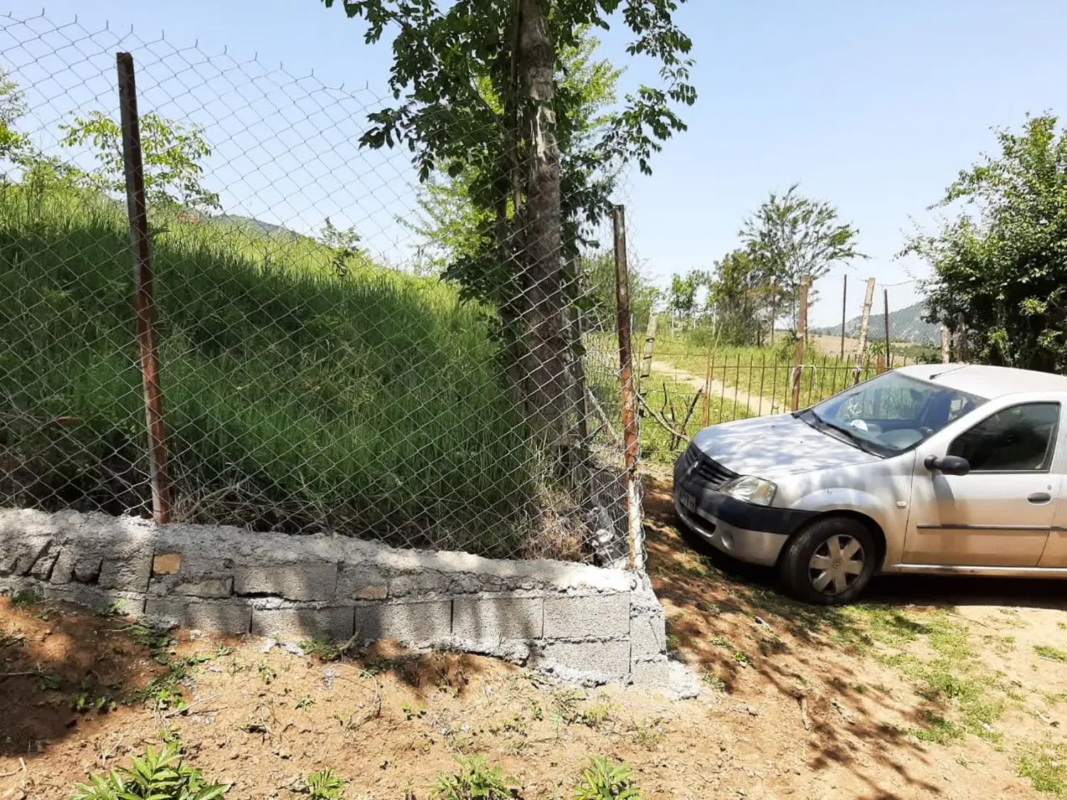 زمین باغی