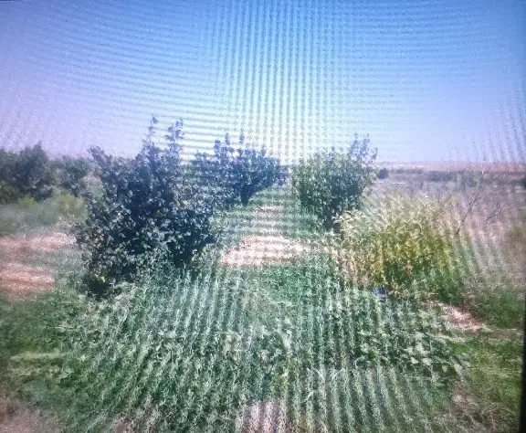 باغچه ۷۵۰متری بلوار هوا فضا