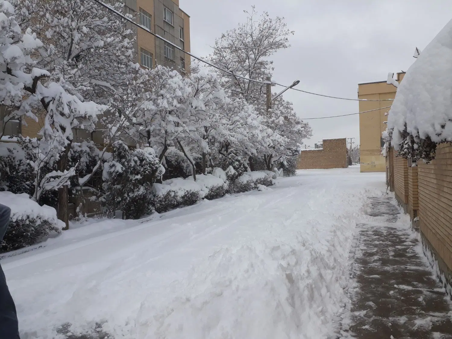 الهیه منازل ویلایی
