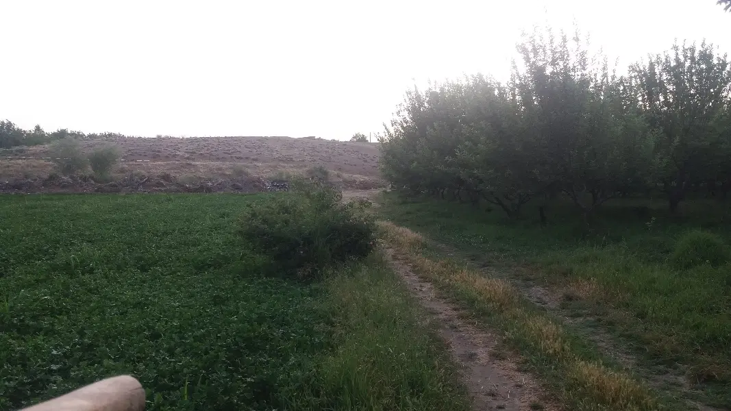 زمین کشاورزی با آب فراوان