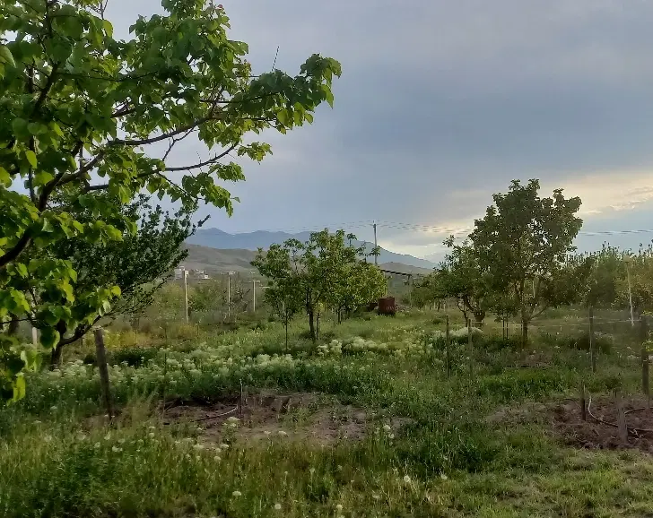 زمین ۲۳۰۰متر گردیان ارس تجاری مسکونی معاوضه خودرو
