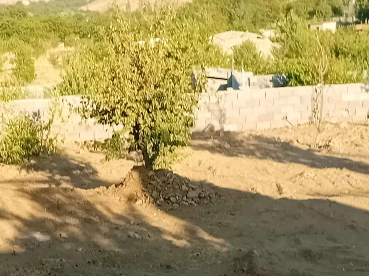 سلام فروش یک قطعه باغ حیدره بالای شهر