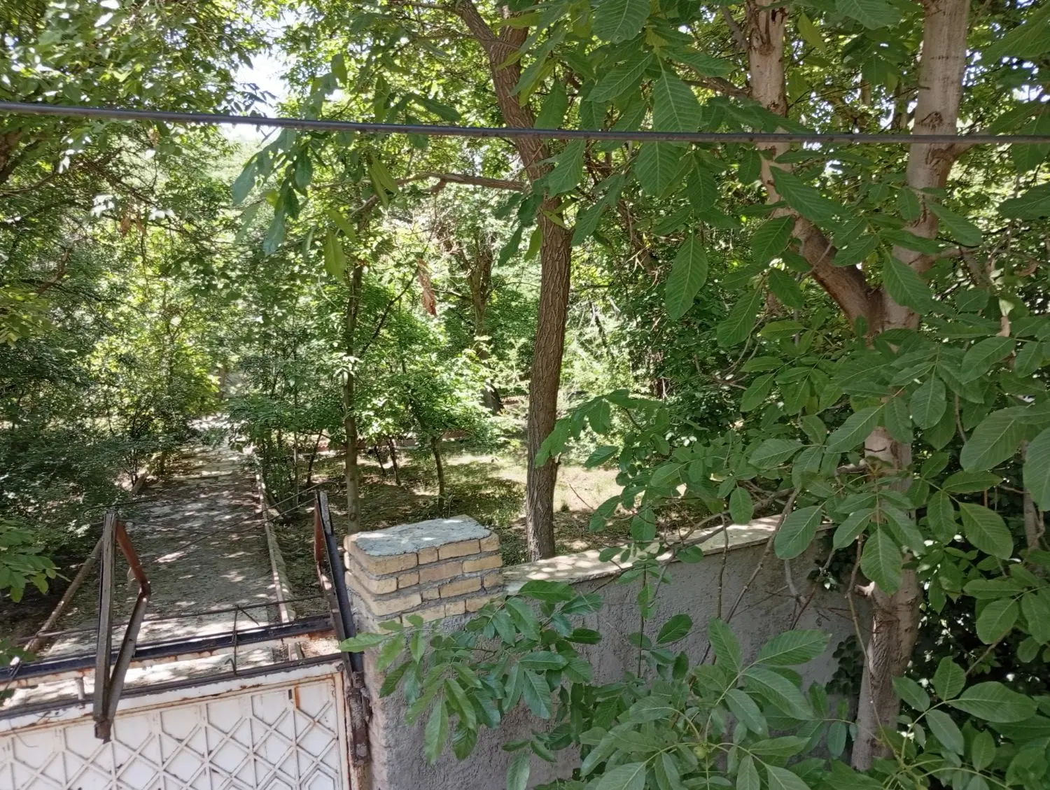 زمین باغ۲۰۰متری