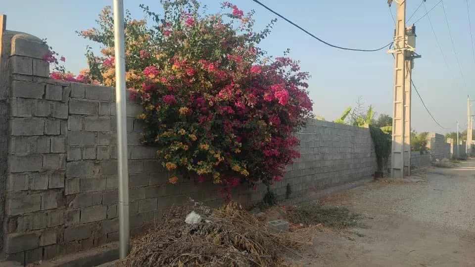 فروش باغچه ۱۲۰۰متری