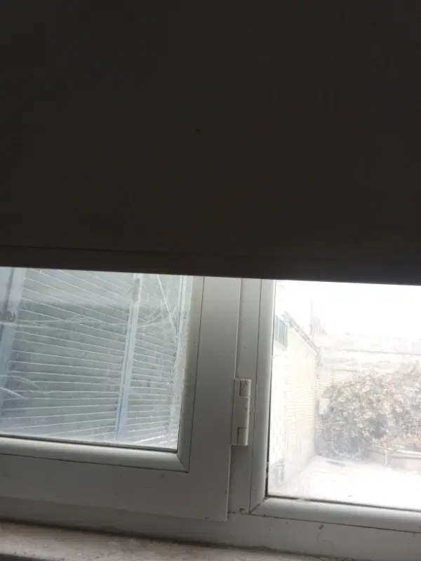 همخونه