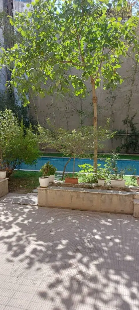 ونک شیخ بهایی شمالی ۳۱۰متر بر۱۰