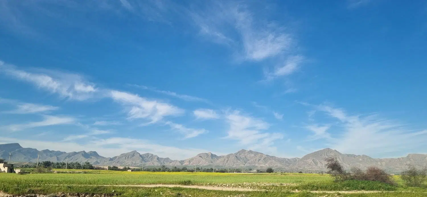 فروش زمین مسکونی تنگ ارم