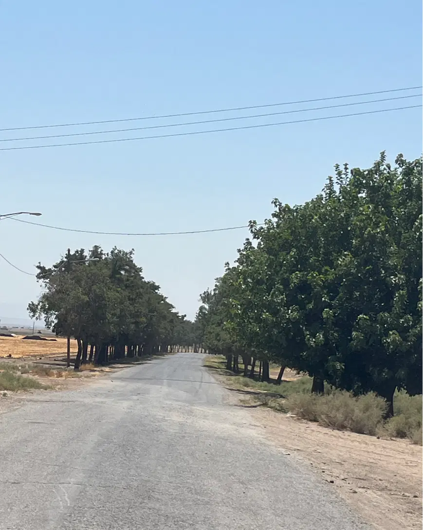 زمین مسکونی حسین اباد کرد ( ۲۰۰ تا ۳۰۰۰ m)