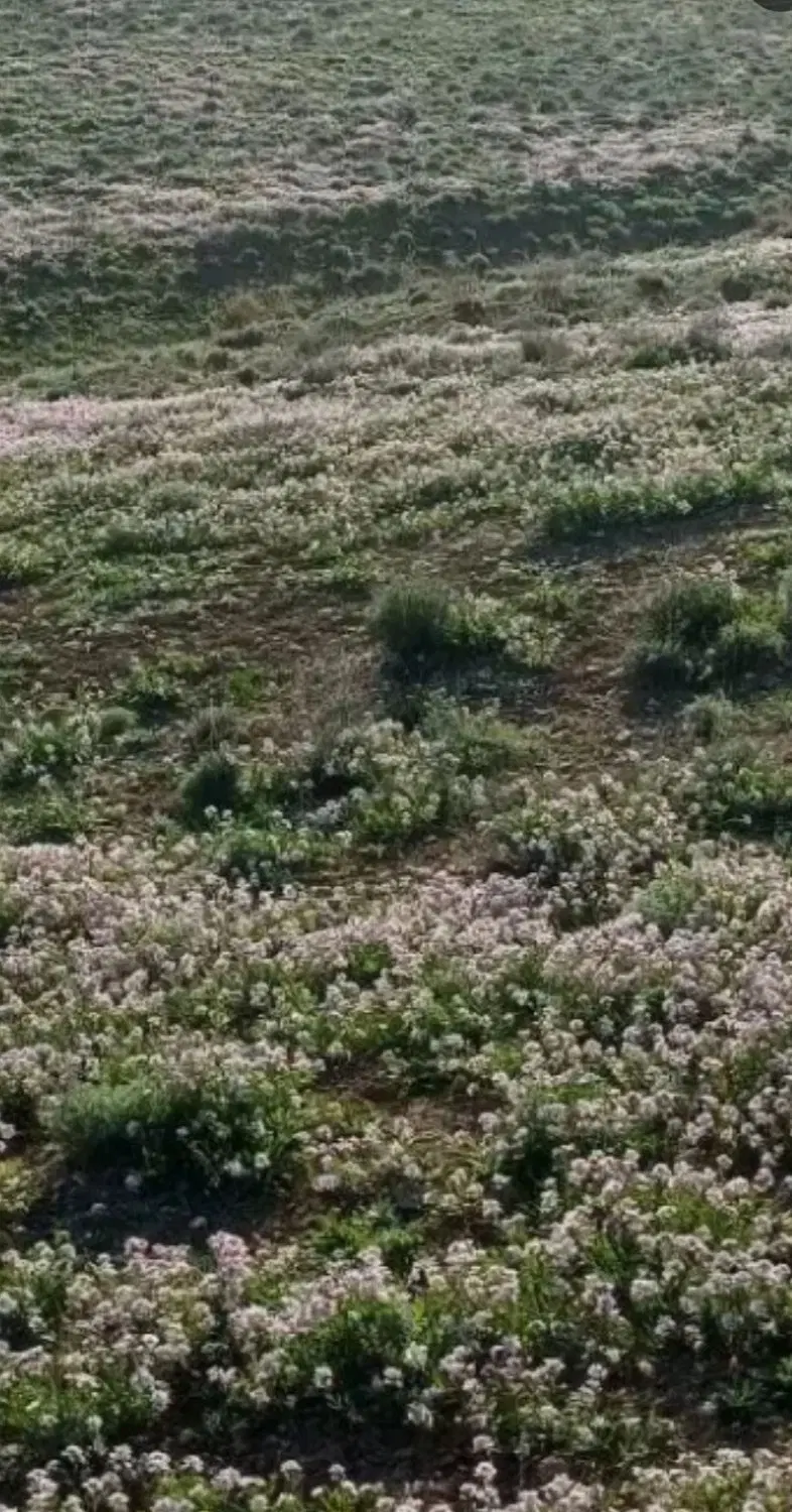 پلک ۳۵ جهاد کشاورزی سهم مالکسال ۹۲