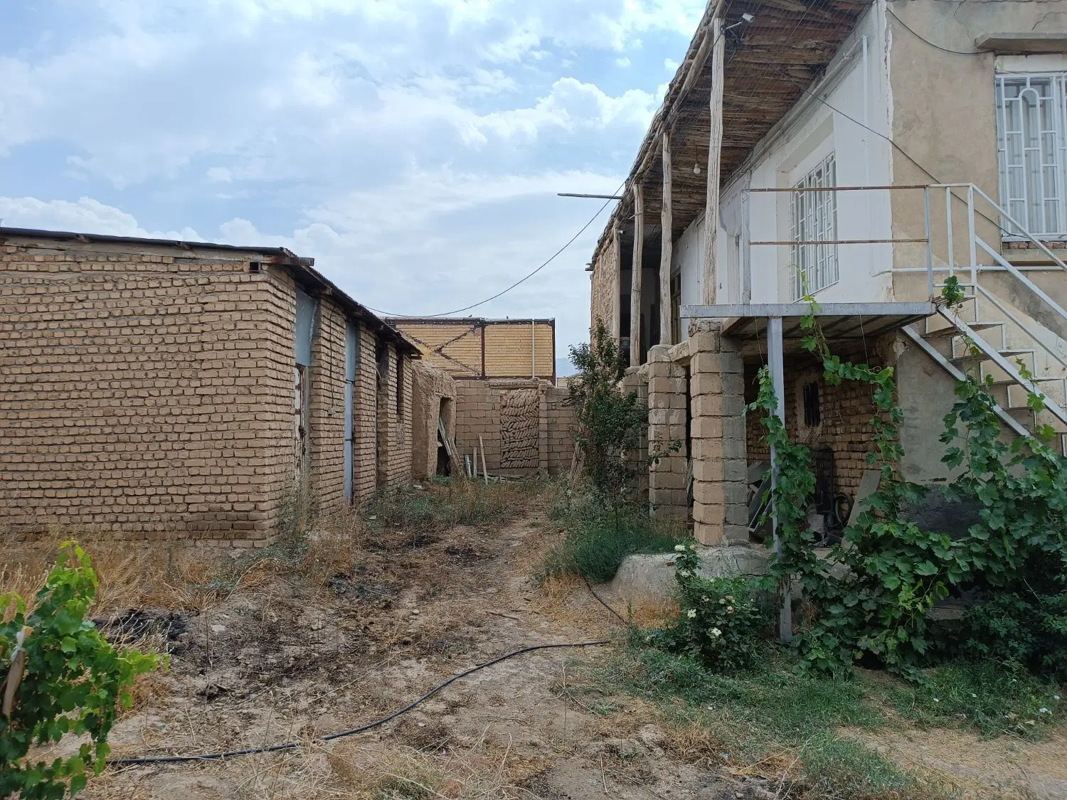 ملک و دامداری