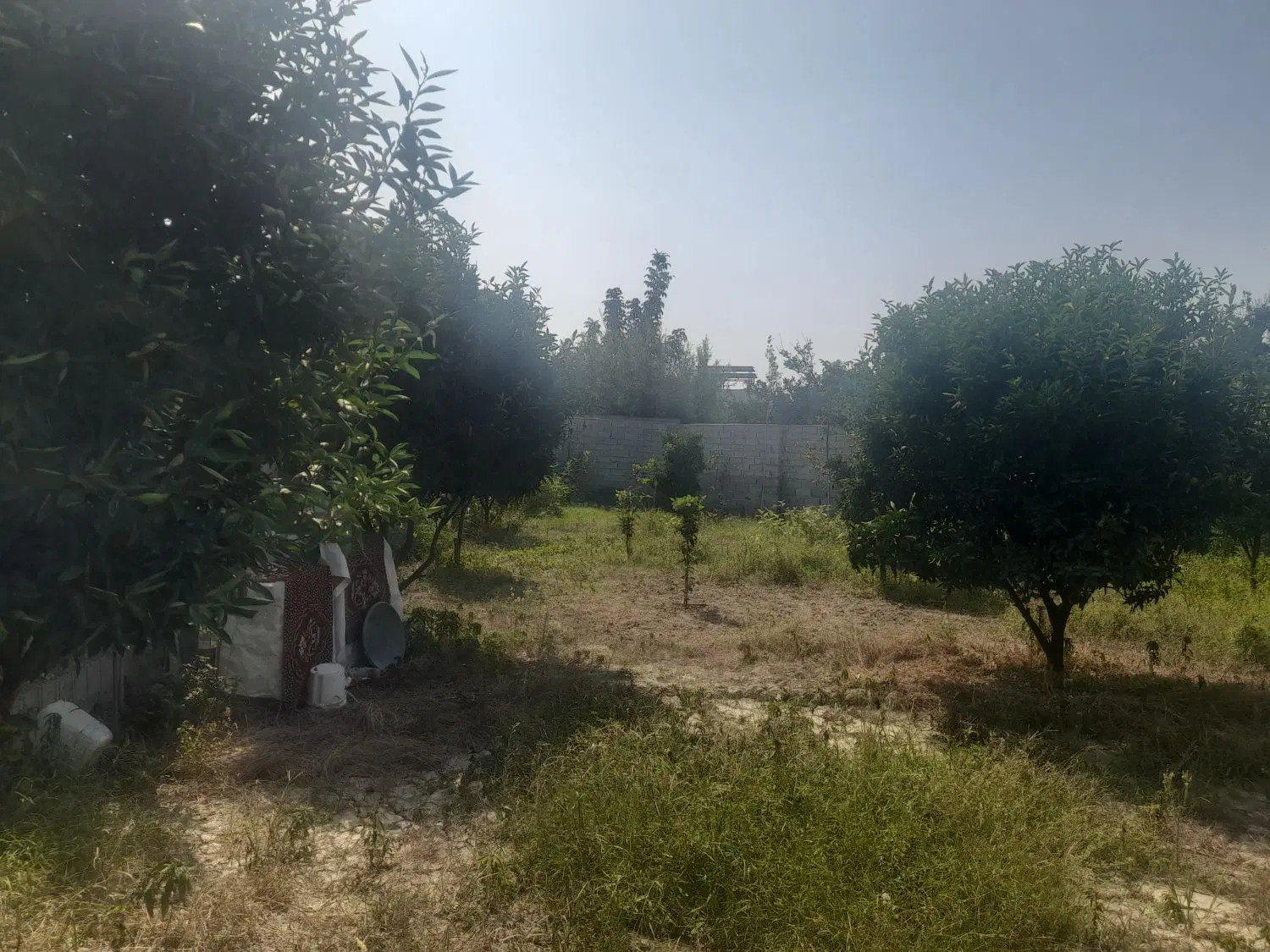 فروش زمین در جاده قدیم