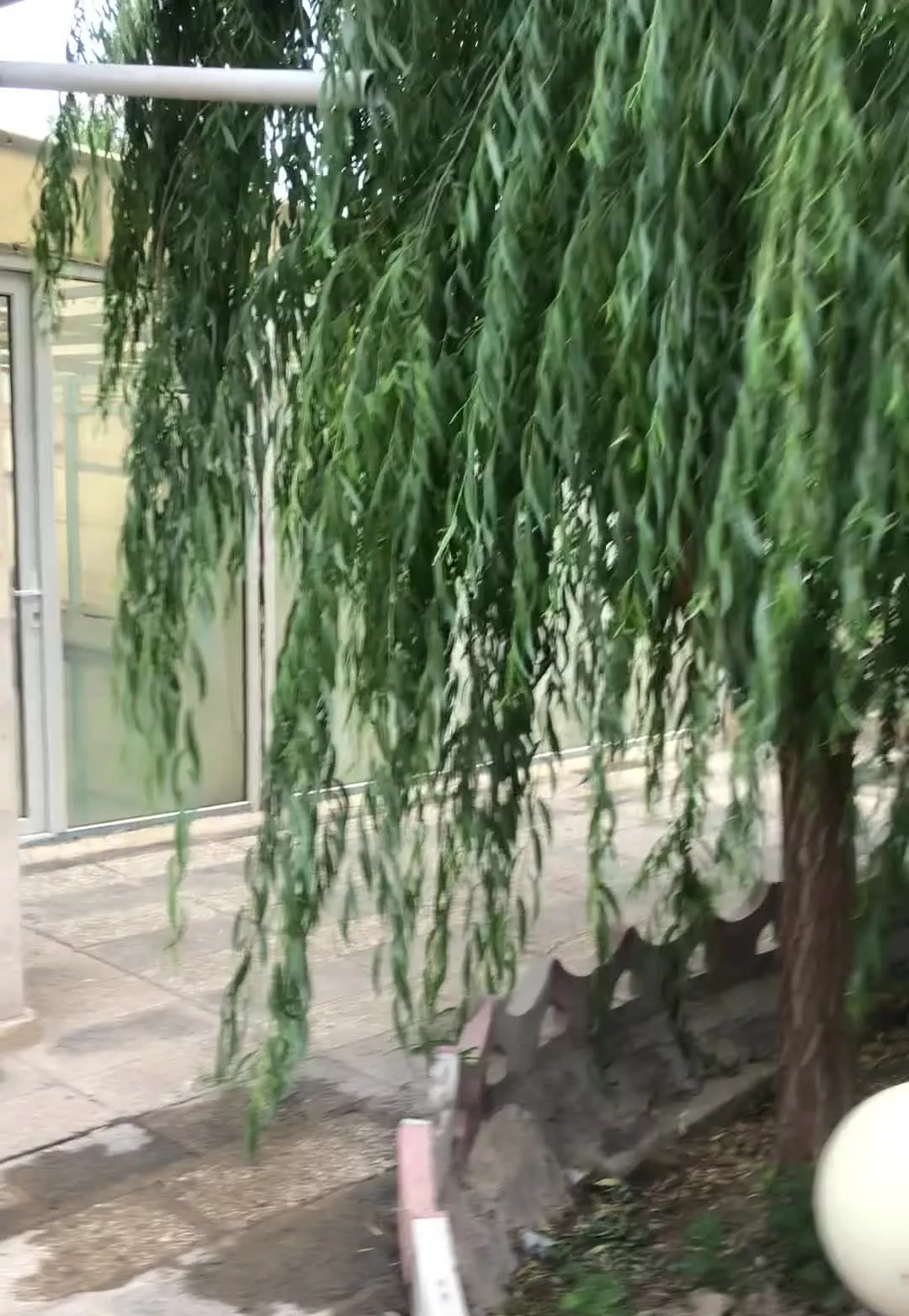 ۱۰۰۰ متر ویلا ۱۳۰ متر بنا سند دار باغستان باکری