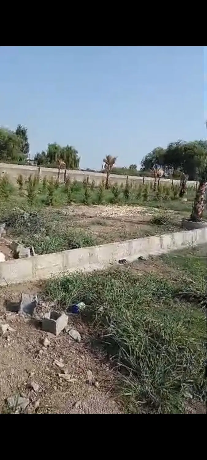 پول تو نخور بجاش یک تیکه ملک تو شمال بخر