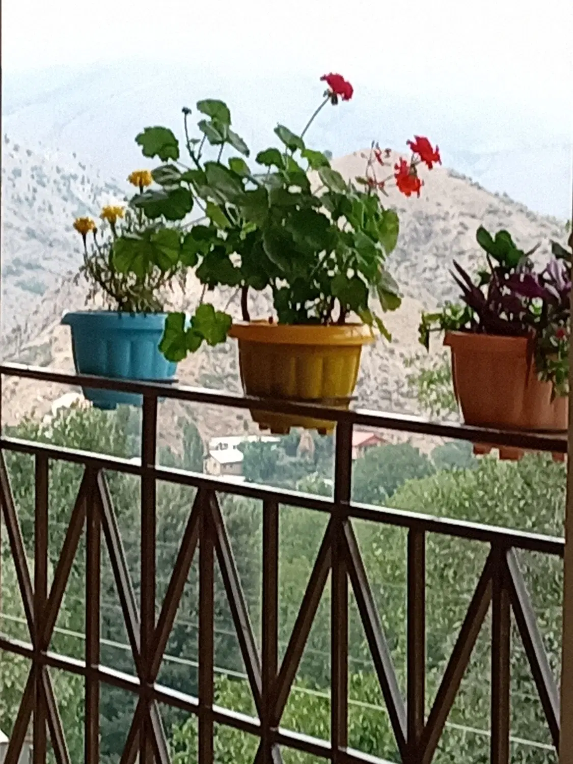 سوئیت و ویلا