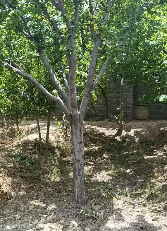 فروش خانه باغ در محدوده انتهای بکه شهریار