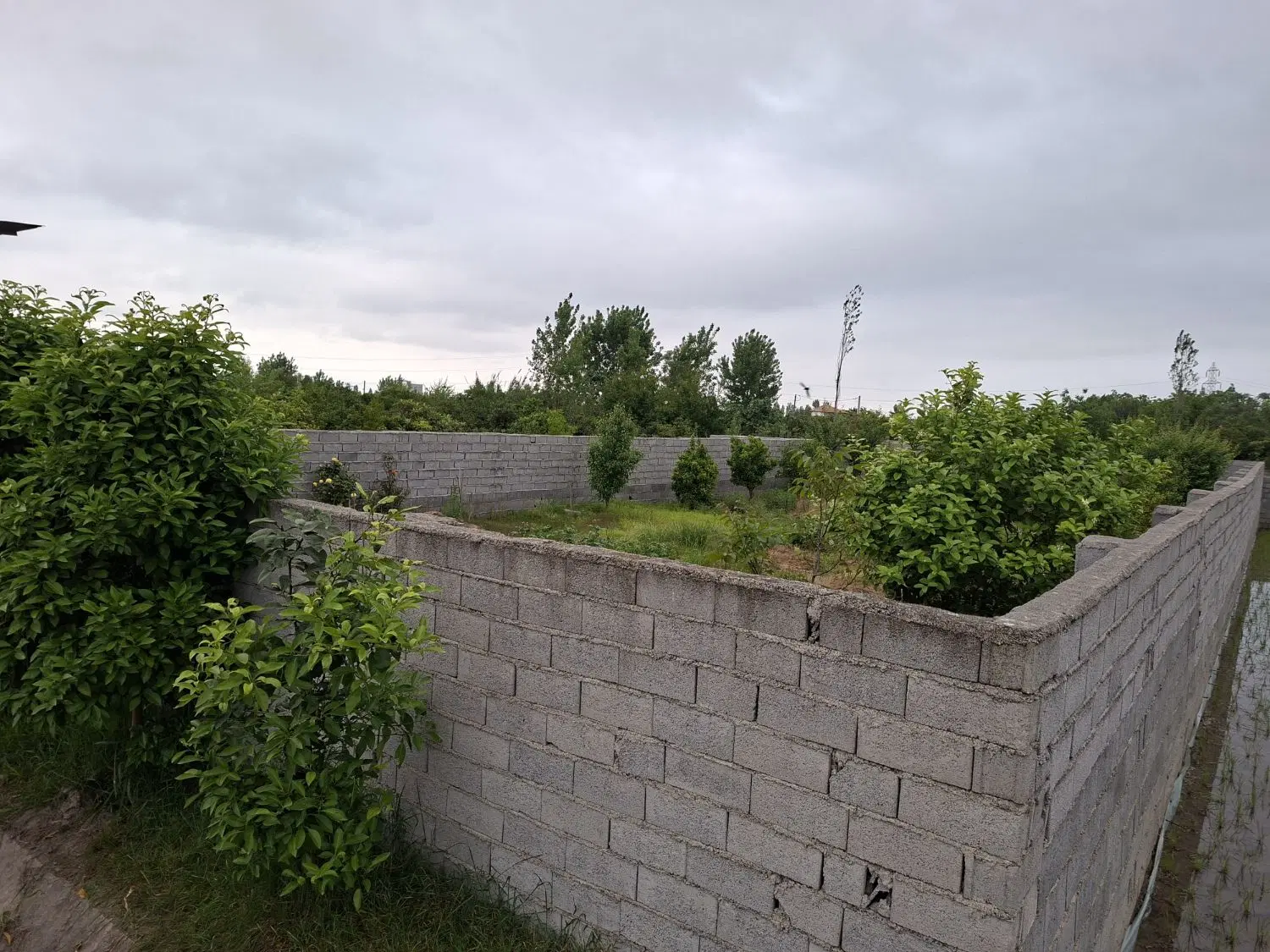 فروش زمین باغی