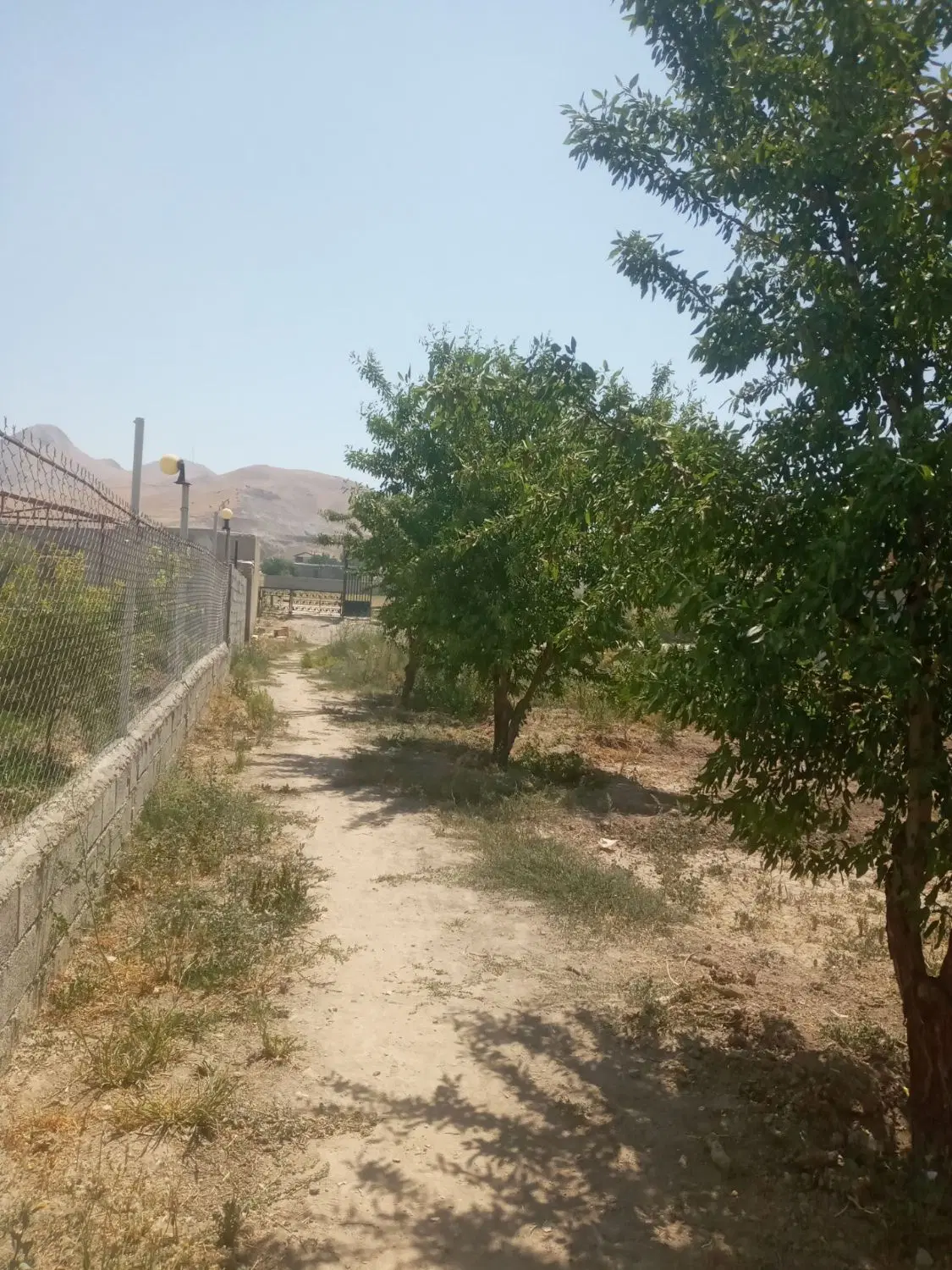 باغ همراه با برق و آب شهری