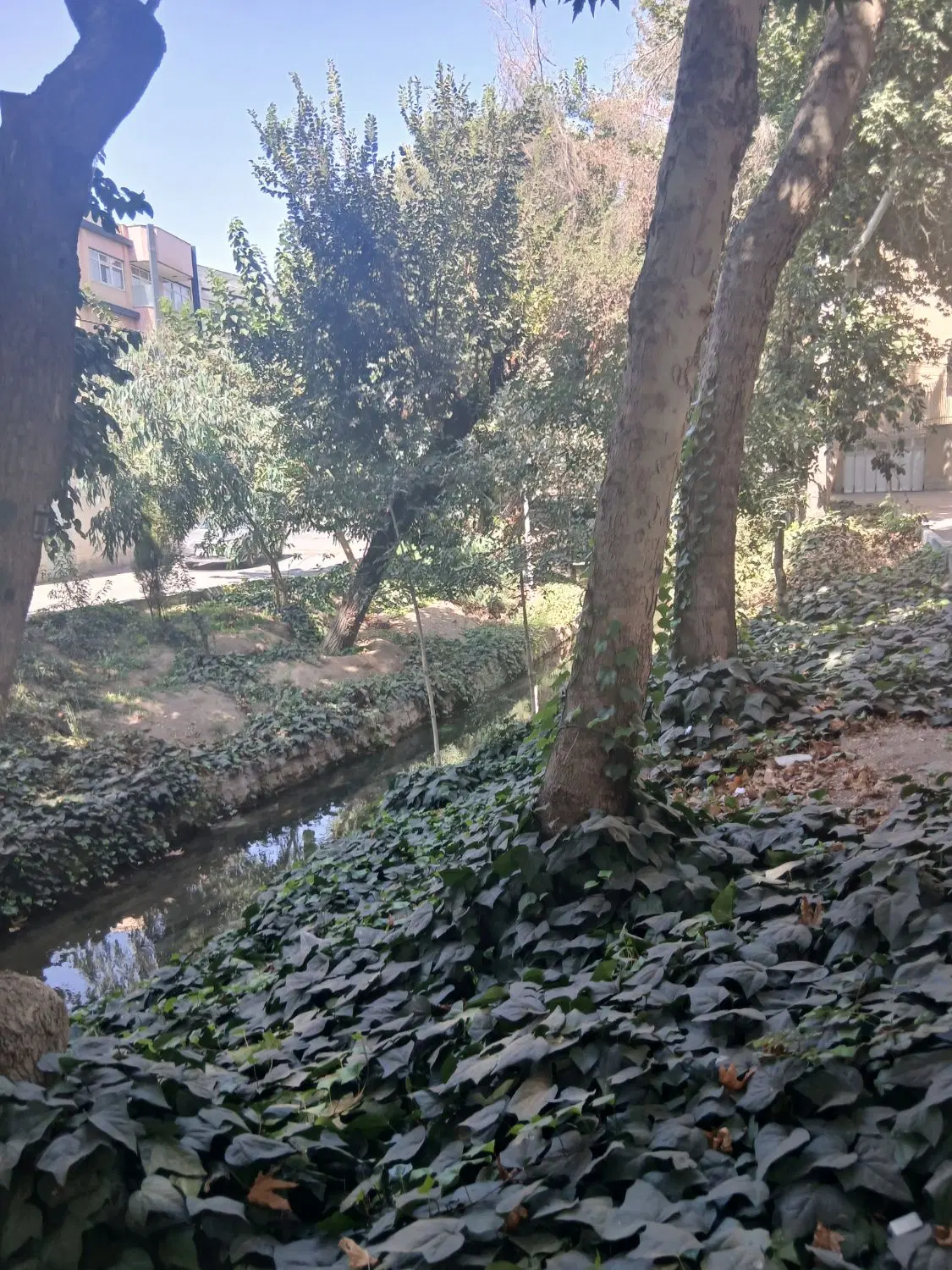 ۱۰۰۰ متر زمین باغی سروشبادران تهاتر با خودرو