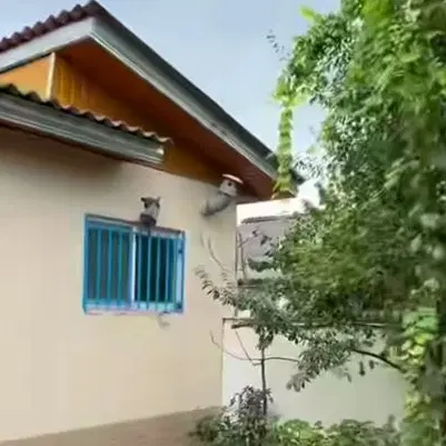 زمین مسکونی مرکز شهر