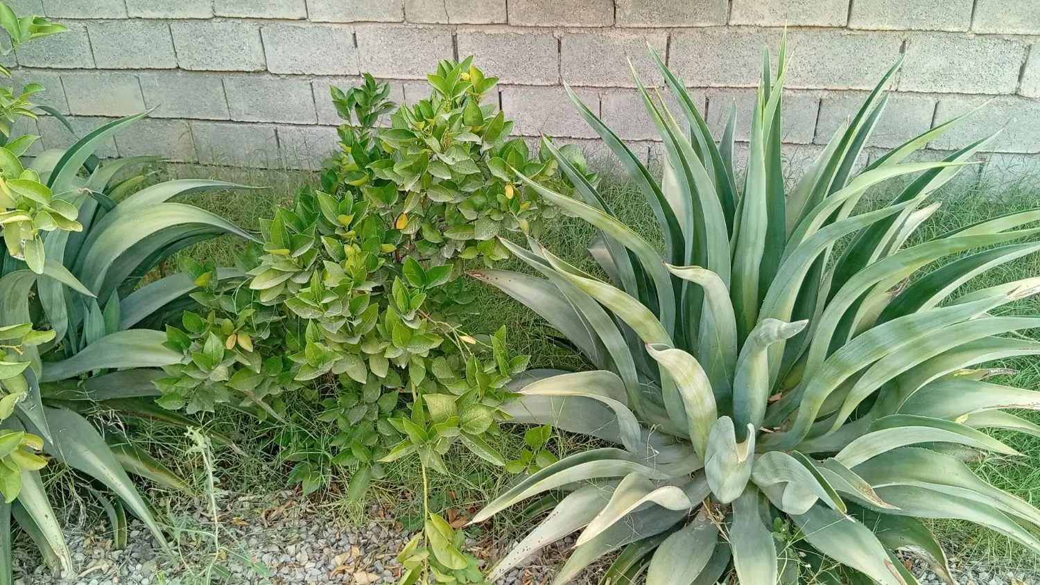 خونه اجاره
