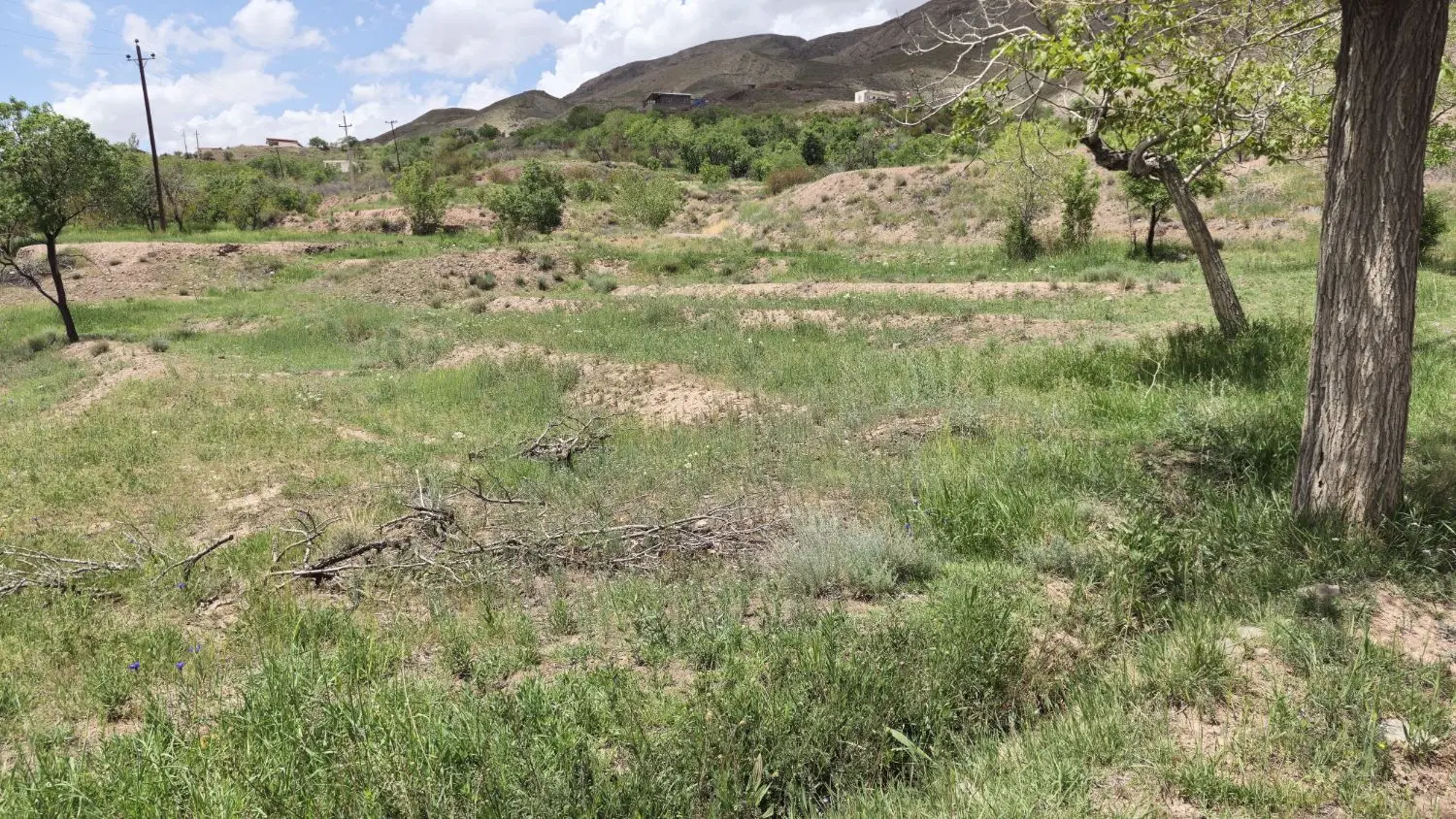 زمین زراعی وکشاورزی روستای مرق