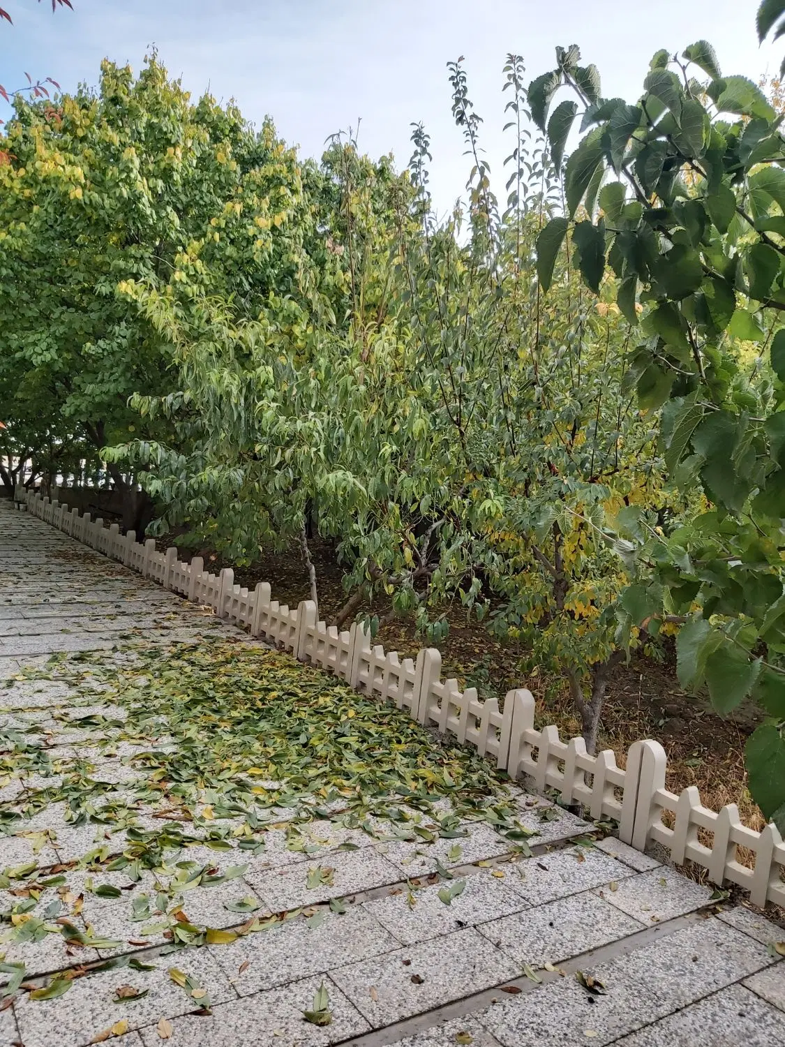 باغ ویلا سهیلیه زعفرانیه زکی اباد