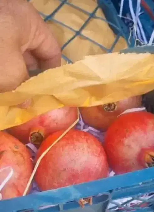 مغازه میوه فروشی