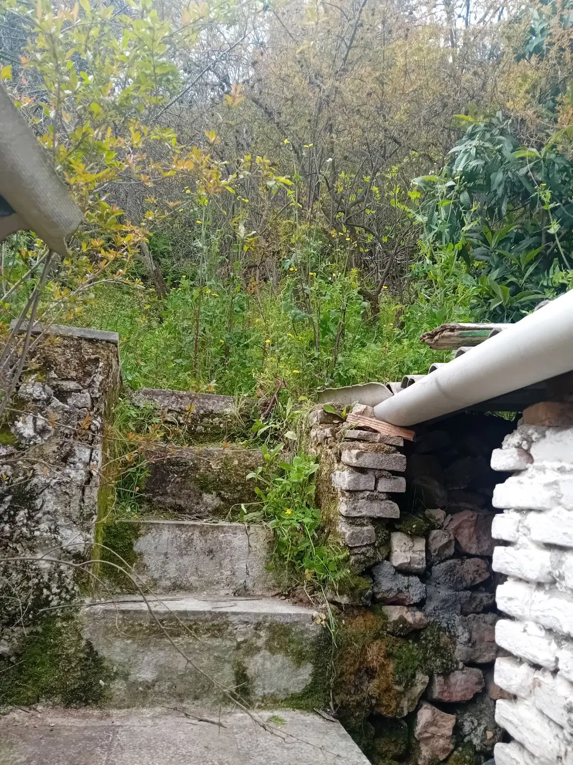 رهن ۷۰ متر خانه با ۲۰۰ متر باغ شخصی